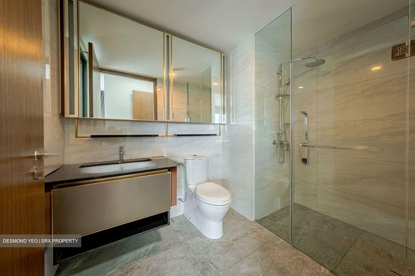 Normanton Park (D5), Apartment #582410861